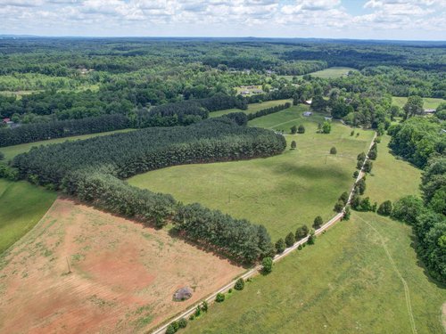 40 Acre Farm For Sale in NC