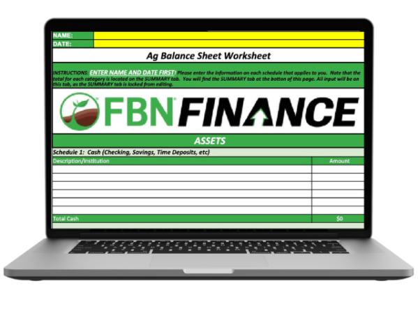 Image of FBN's balance sheet template